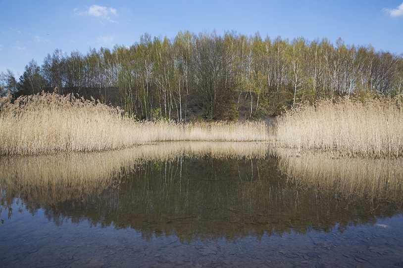 Impressionen von der Halde Lydia in Fischbach