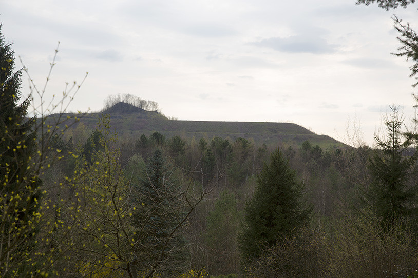 Die Halde der ehemaligen Grube Maybach in Friedrichsthal