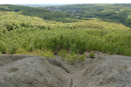 Die Halde Grühlingstraße der ehemaligen Grube Jägersfreude in Saarbrücken