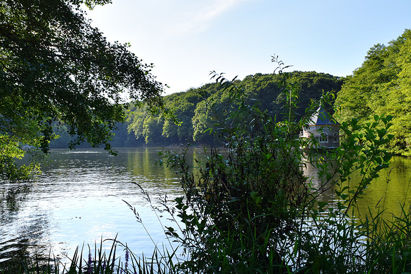 Naherholungsgebiet Itzenplitzer Weiher im Schiffweiler Ortsteil Heiligenwald