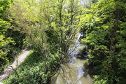 Das Rosseltal in Großrosseln ist ein Naturparadies und Zuhause für zahlreiche Tier- und Pflanzenarten, was auf die Renaturierungsmaßnahmen von 2003 bis 2005 zurückzuführen ist